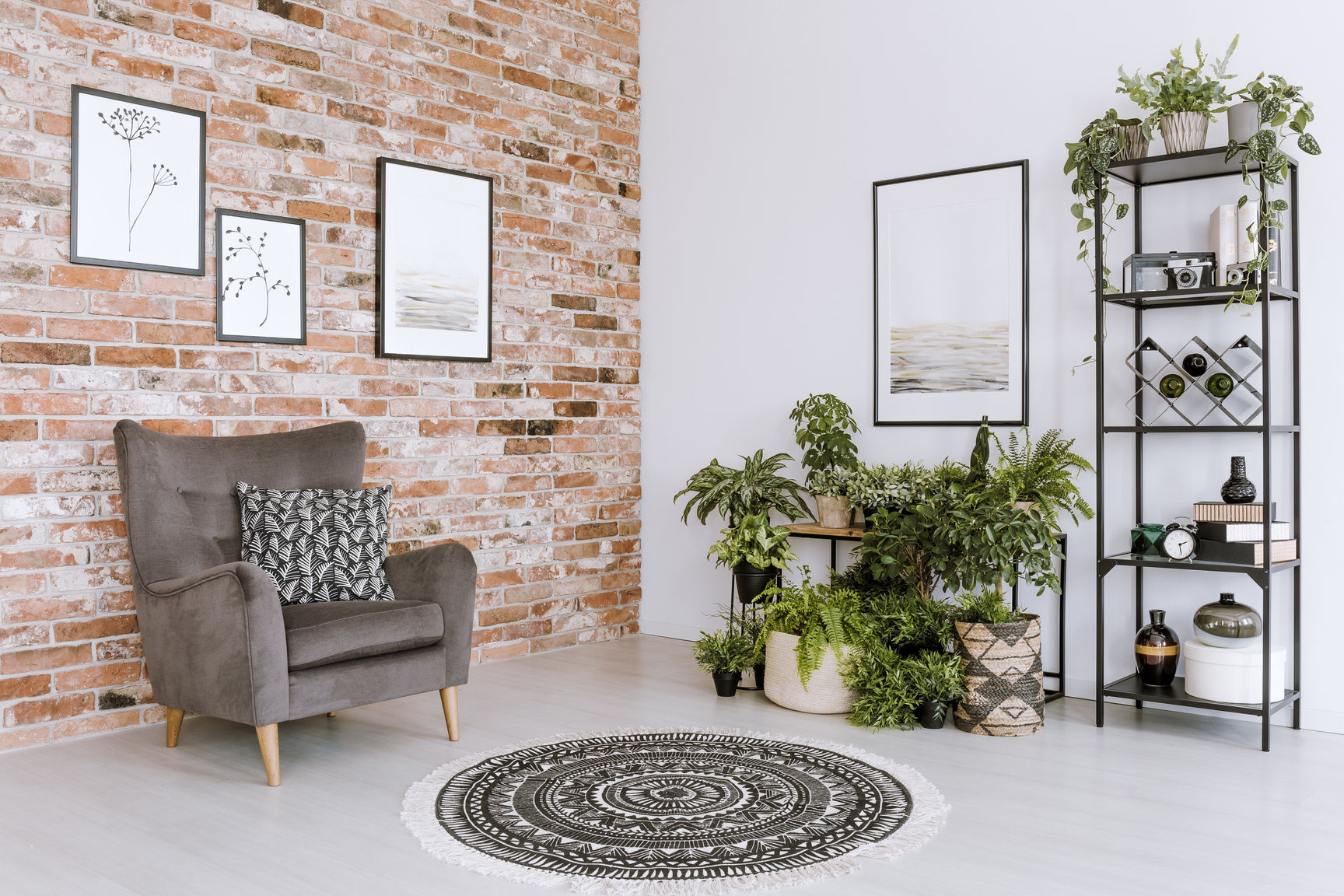 Living room interior with plants